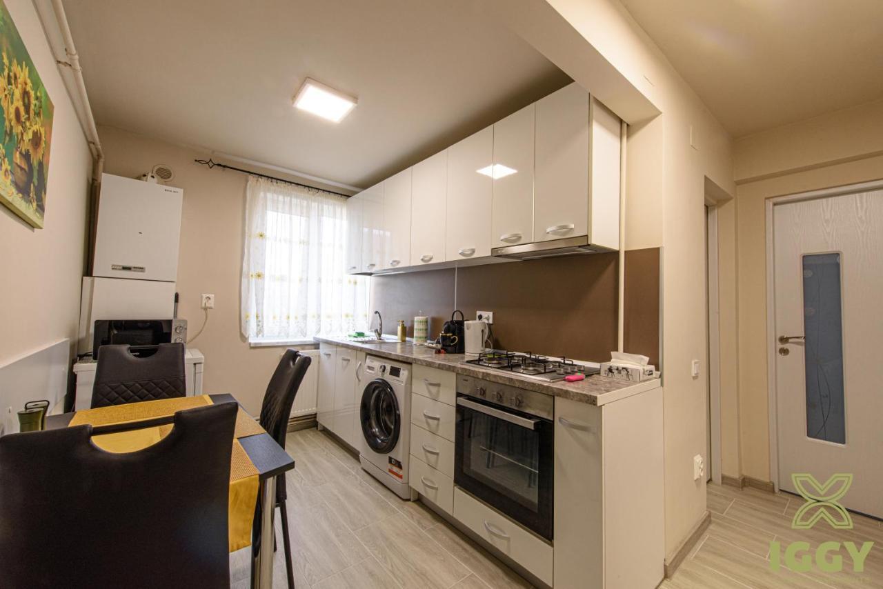 Iggy Luxury Apartment Hunedoara Exterior foto